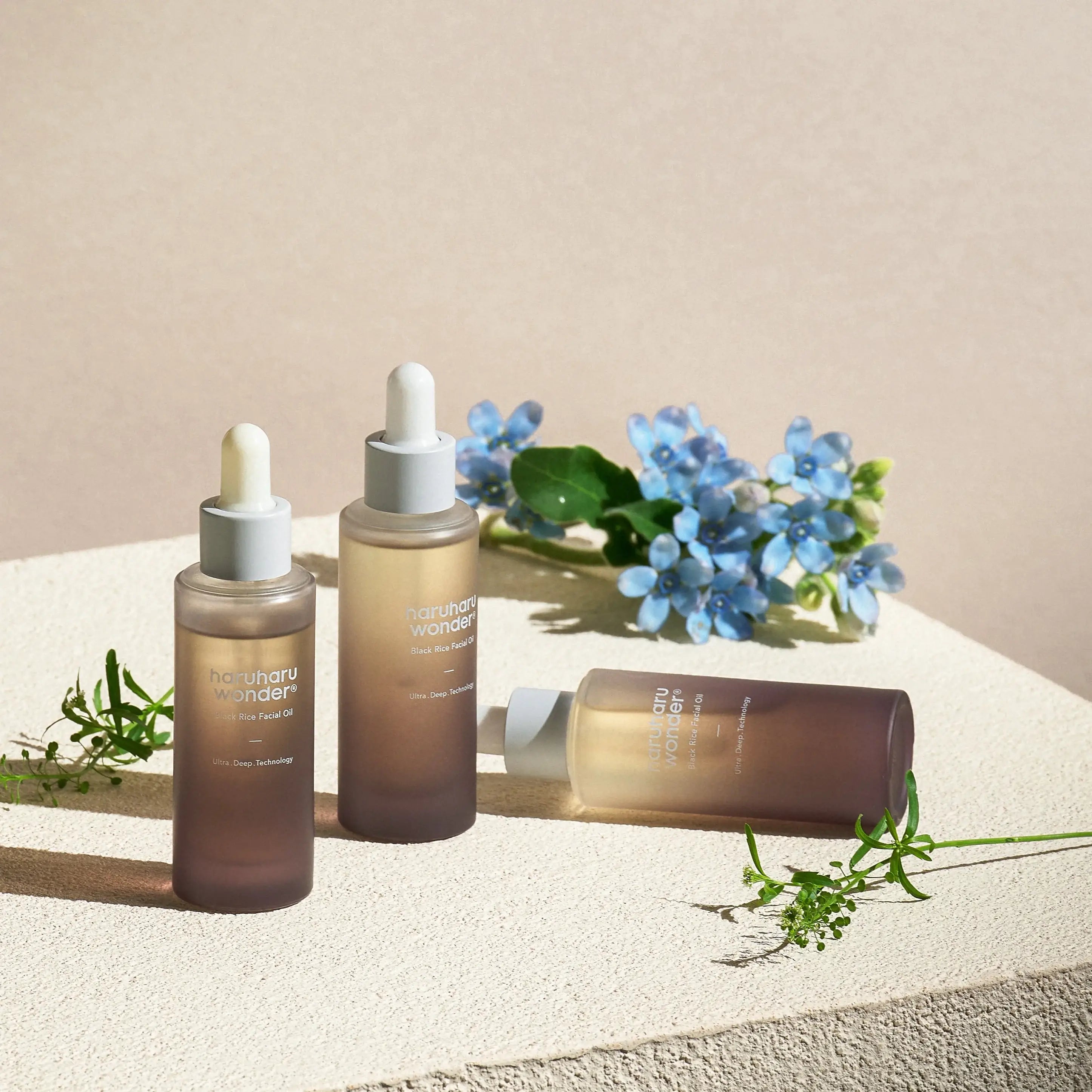 Haruharu Wonder Black Rice Facial Oil rice bran oil jojoba sunflower vitamin E Serum K Beauty World