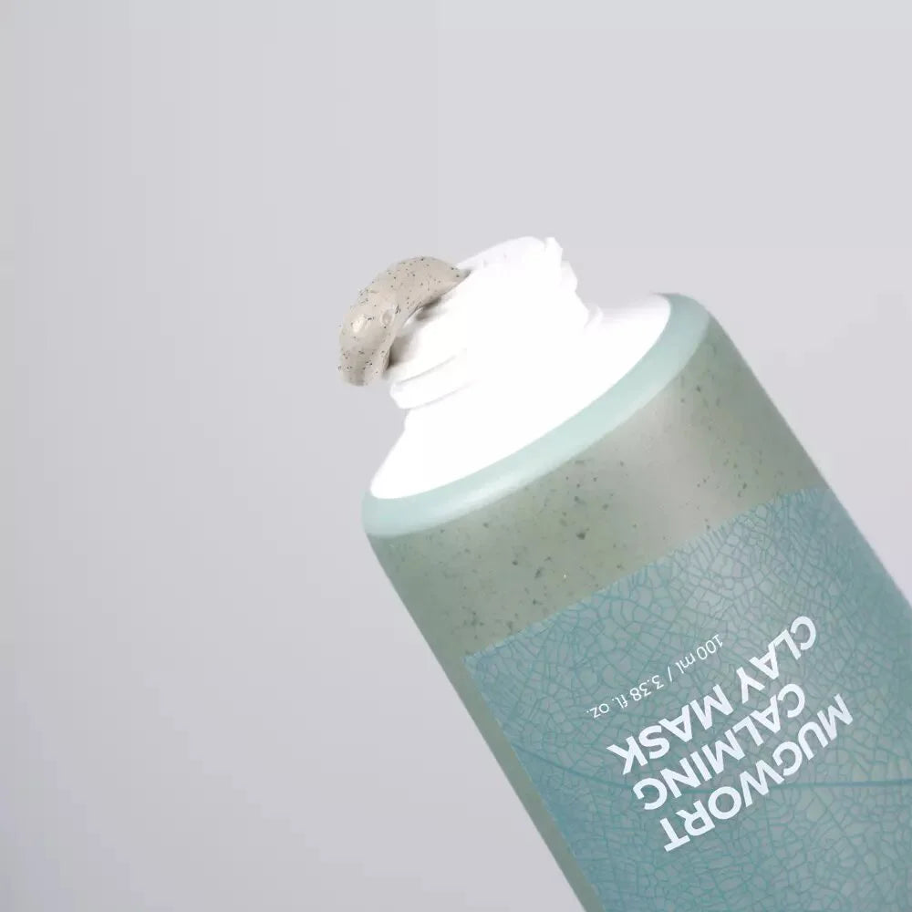 Isntree Mugwort Calming Clay Mask for men women Korean skin care oily combination sensitive skin blackheads K Beauty World